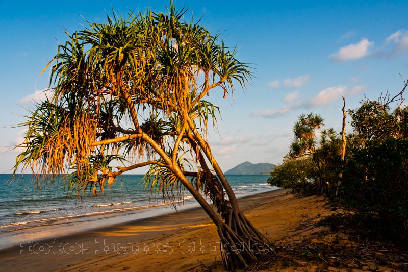 Bramston Beach, hier trifft der Regenwald auf einen Strand