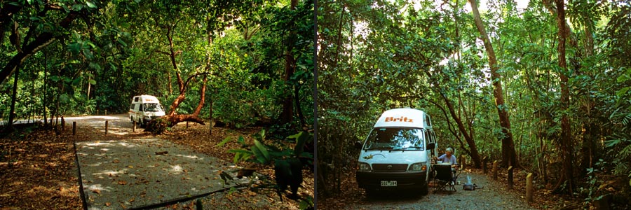 Cape Tribulation NP, Noah Camp