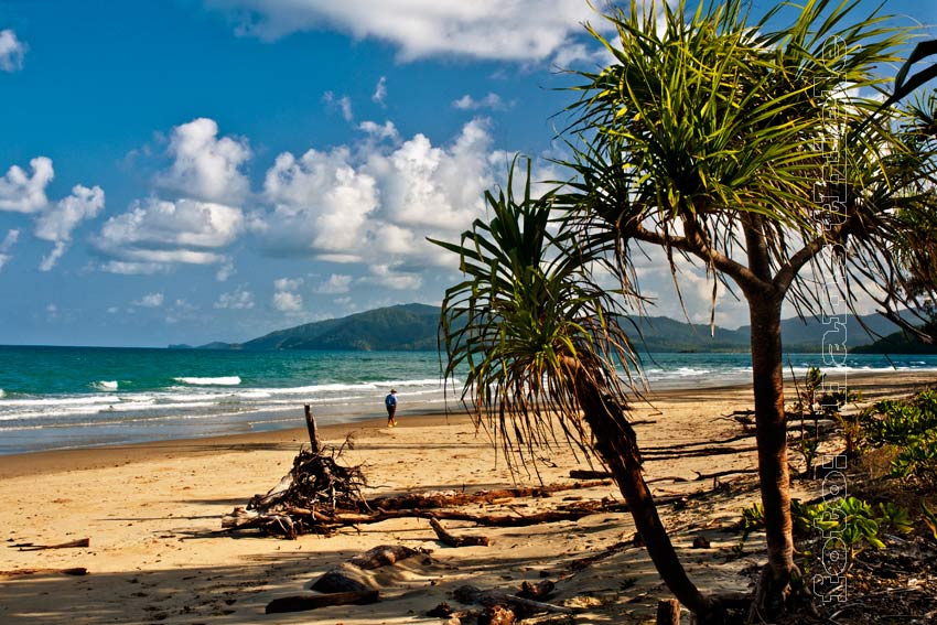 Daintree NP, Noah Beach am Cape Tribulation