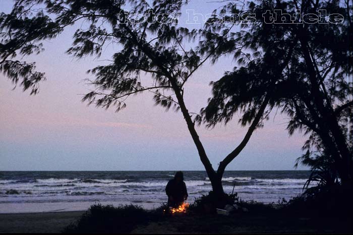 Noah Beach, wildes Camping 1983