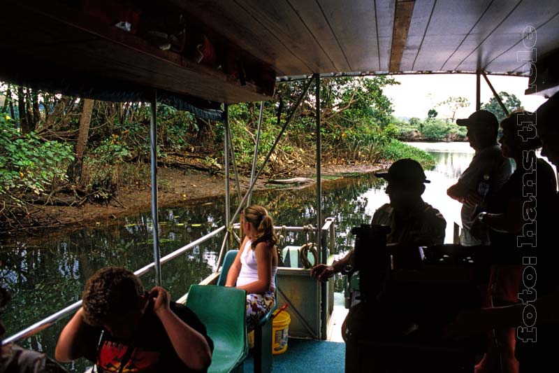 Bootsfahrt auf dem Daintree River