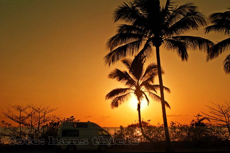 Abendstimmung Campen unter Palmen, Mossman Beach