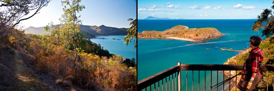 Cape Hillsborough: Andrews Point Track