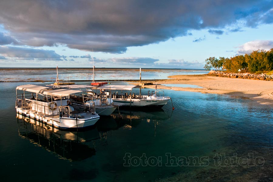 Heron Island, eine Koralleninsel und Vogelparadies