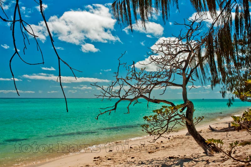 Heron Island mit faszinierend schönen naturbelassenen Stränden