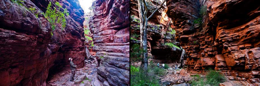 Mount Remarkable NP, Alligator Gorge