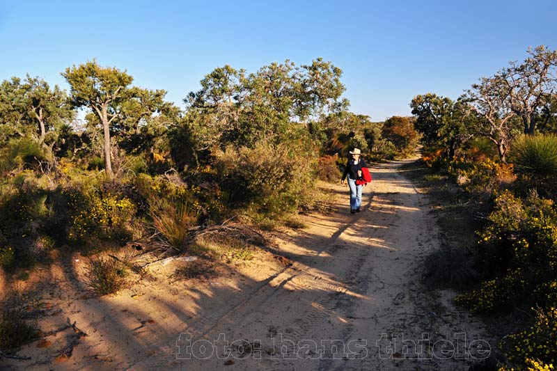 Yanchep NP, ein Perth naher Park mit vielen Wanderwegen