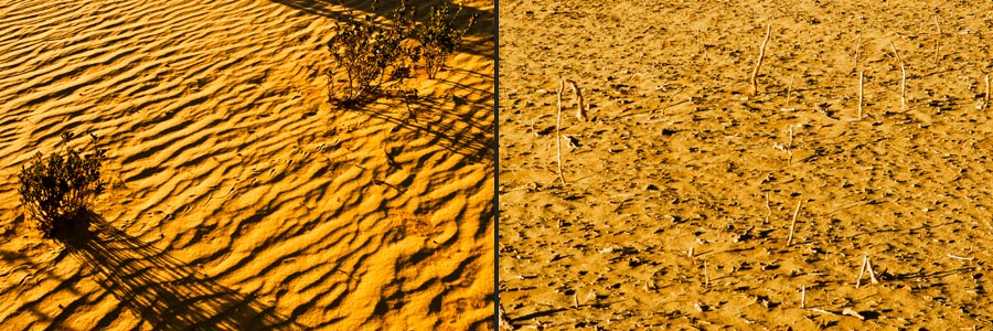 Pinnacles Desert