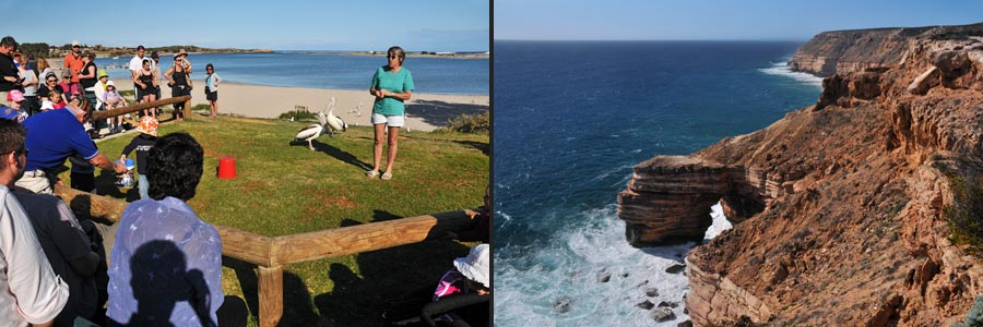 Kalbarri NP