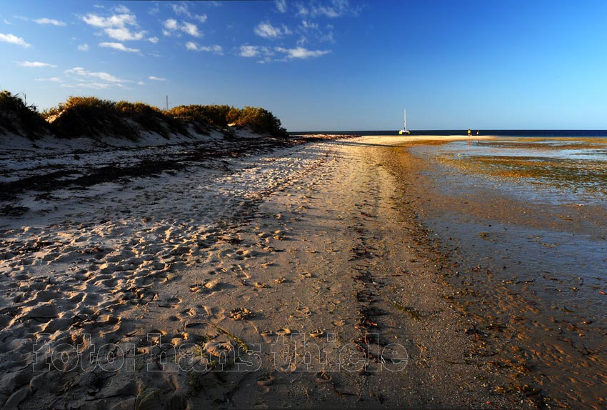 Strand bei Monkey Mia an der Shark Bay