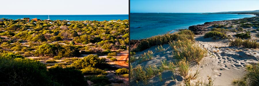 Monkey Mia liegt an der Shark Bay