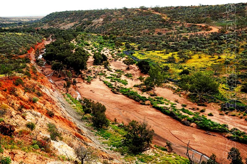 Coalseam NP