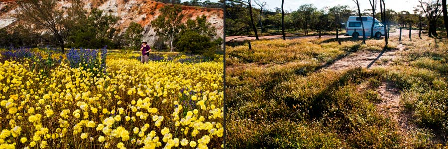 Coalseam NP