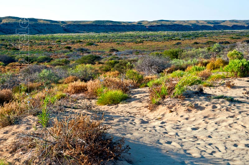 Cape Range NP