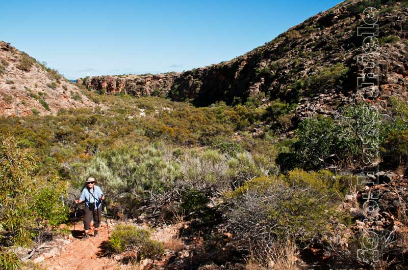 Cape Range NP: die Mandu Mandu Gorge