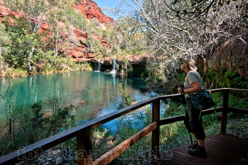 Karijini NP: der zauberhafte Fern Pool in der Dales Gorge