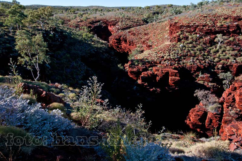 Karijini NP: Blick vom Oxer Lookout