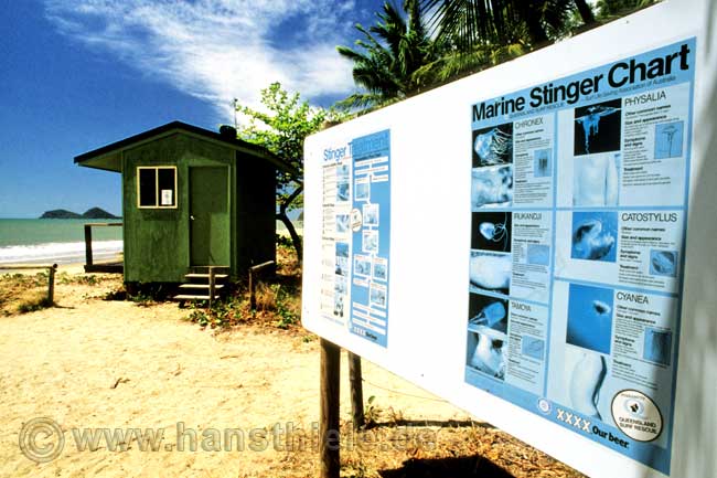 Gefahren im Meer: marine stingers